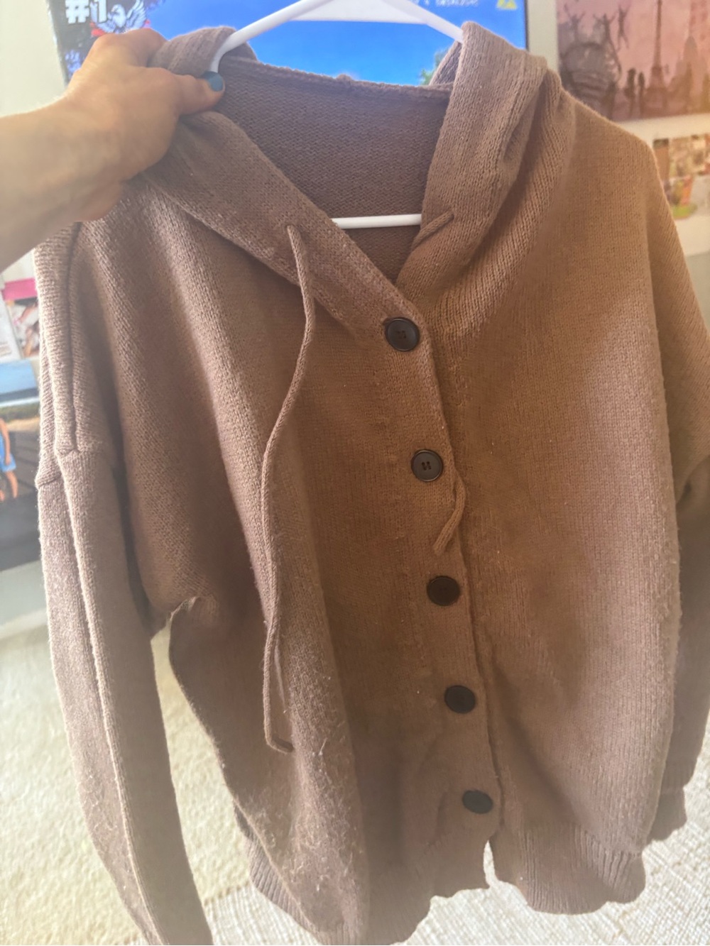 Source Unknown Brown Hooded Button Cardigan